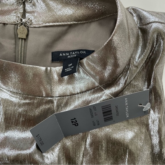 Ann Taylor Silver Bronze Sleeveless Pleated Accordion Chiffon Dress Size 12P NWT - Picture 5 of 10